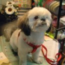 대전산성초등학교 이미지