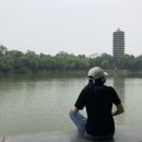 7-8월 북경에서 보내는 첫 여름 방학 일상