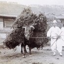 시골장터 이미지