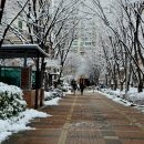 파리바게트레이크