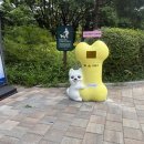 서초구청