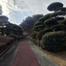 경남조경 | 경남조경업체 나무병원 수간주사, 수목전지전정
