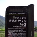 GR(울진군)-[월송정로]-상-7 | 마음 내키는 데로 길 따라 물 따라 여행 # 7 (울진) - 금강소나무 숲길, 불영사, 촛대바위, 대풍헌...