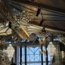 아모르 | 청주 웨딩홀 "아모르아트" 계약 후기