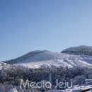 속도내는 한라산 사유지 매입 ... &#39;부동산 가격 상승&#39; 등 변수 남아 이미지