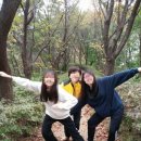 약수골캠프촌 오토캠핑장 이미지