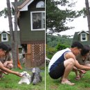 스위트몽 이미지