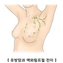 화장품의 성분중 파라벤이 유방암을 유발한다.(참고하세요) 이미지