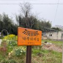 마실 | (나주) 촌캉스 숙소 '더 마실' 후기