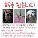만수5동-11 이미지