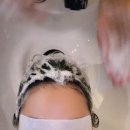 올스칼프101스튜디오 | 시청 두피관리, 담혜원 스칼프라운지의 프라이빗 한 케어 후기