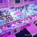 토이포이 이미지