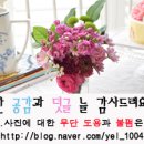 (주)하이원추추파크 이미지
