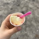 조치원_신흥리_조치원중학교 앞 | 제21회 세종 복사꽃 마라톤 10km 완주 후기(코스 난이도, 기록, 급수 총정리)