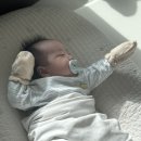 4982 | 북마산가구거리 공장직영 1000평 창고형 매장, 세명가구백화점 다녀온 후기