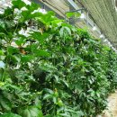 세광농장 이미지