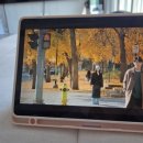 페리카나통 이미지