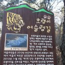 호랭이 어슬렁길 이미지