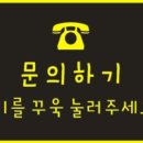 개네가 고양이네 이미지