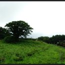 에코랜드 이미지