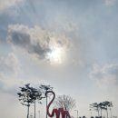 플라밍고 | 플라밍고 CC 후기