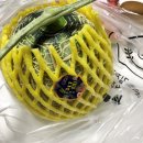 김제과일왕