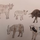 소만마을로 이미지