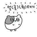 행기숲화장실 네이버블로그