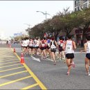 따끈 따끈한 " 군산 새만금 국제마라톤 " 출발!! 이미지