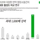 치매를 예방하는 브로콜리 이미지