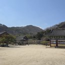 장흥 보림사 매화 이미지