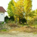 전원목장 이미지