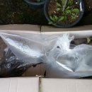 대목농장 이미지