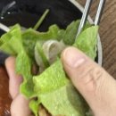 지리산 복돼지 이미지