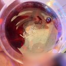 함앤장군산요가원 | 뉴욕 브루클린 윌리엄스버그 L'industrie Pizzeria &amp; Vintage shops