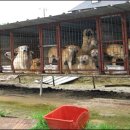 아름농장 이미지