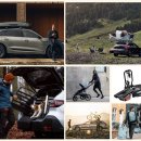 임씨소프트 | 툴레 팜 주니어 카시트 후기 1탄 by 아이와차 툴레 키즈 프리뷰어