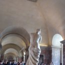 센느약국 이미지