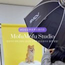 포토이즘박스상록수역점