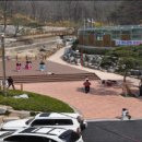 소나무부분정비 이미지