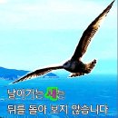 1월8일 월요일출석부 건강 수명을 연장시키는 14가지 식습관 이미지