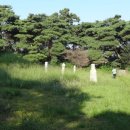 이여발묘 이미지