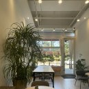 달콤한 두근거림 이미지