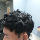 그레이스위그