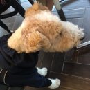 중앙동323 이미지