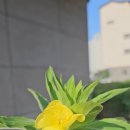 숨비소리헤어앤스파 네이버블로그