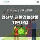 소상공농산물유통센터 | [선정 후기] 2026년 임산부 친환경농산물 꾸러미 지원사업, 신청방법부터 선정 후기까지, 완벽정리!