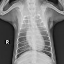 워너비 동물병원 이미지