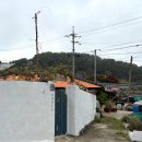 여수애견하우스 이미지