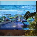 블루스테이 이미지